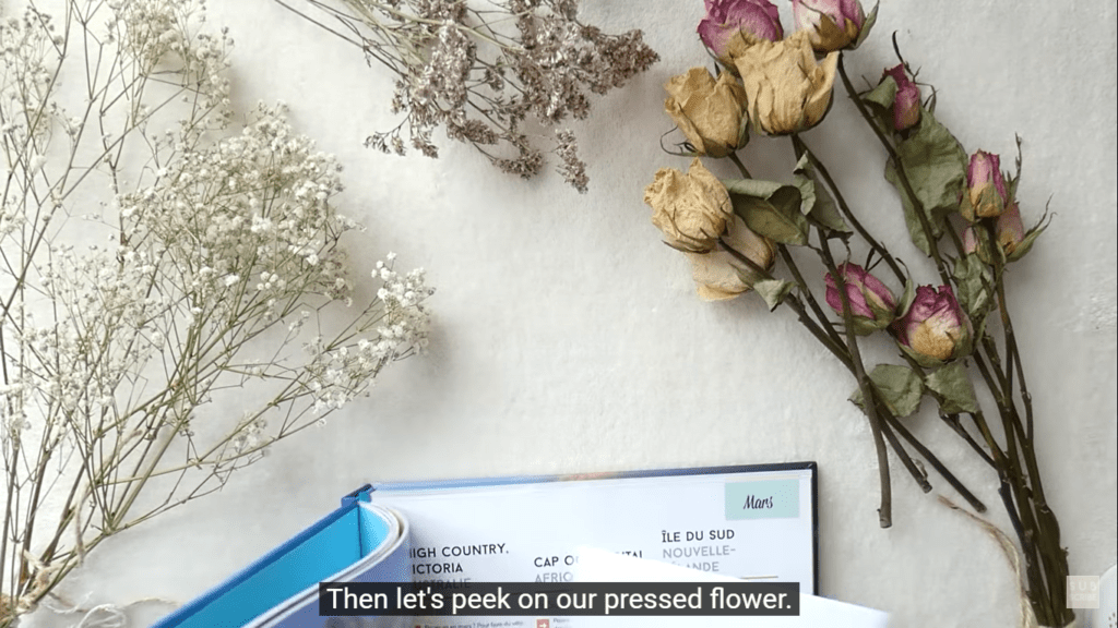 Dried Flowers can look good